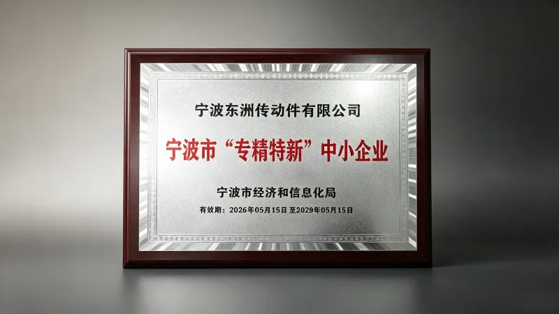 Ningbo Dongzhou Transmission Co., Ltd. recebeu o status de PME 